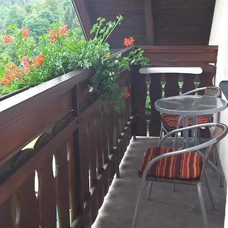 - Privat Pacholik Homestay *